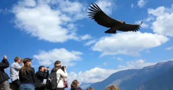 Tour Cañon del Colca Full Day | Arequipa