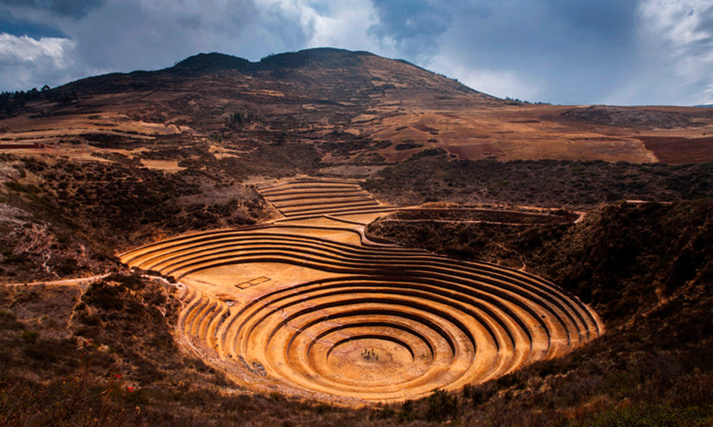 Moray