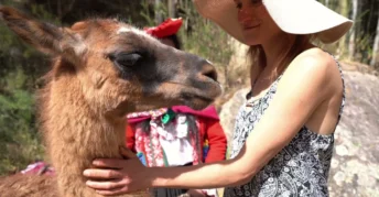 Tour Manos que Crean, Almas que Sanan | Arte & Alpaca Terapia