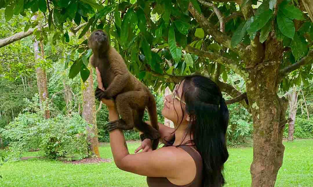 Isla de los Monos y Delfines del Amazonas | Full Day desde Iquitos