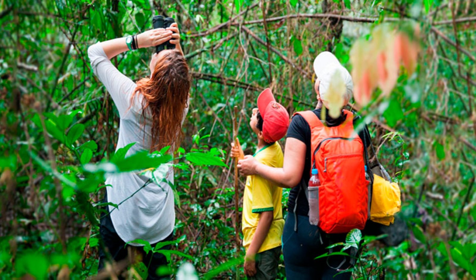 Tour Tambopata 4D/3N – Lago Sandoval