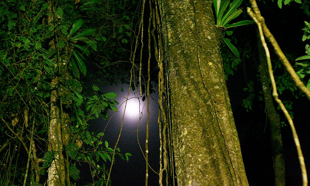 Explora Iquitos 3D/2N