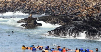 Aventura Acuática en Islas Palomino