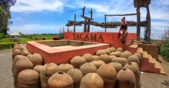 Ica y Huacachina con Degustación de Pisco | Full Day