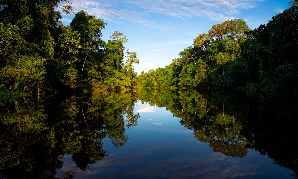 Tour Reserva Pacaya Samiria