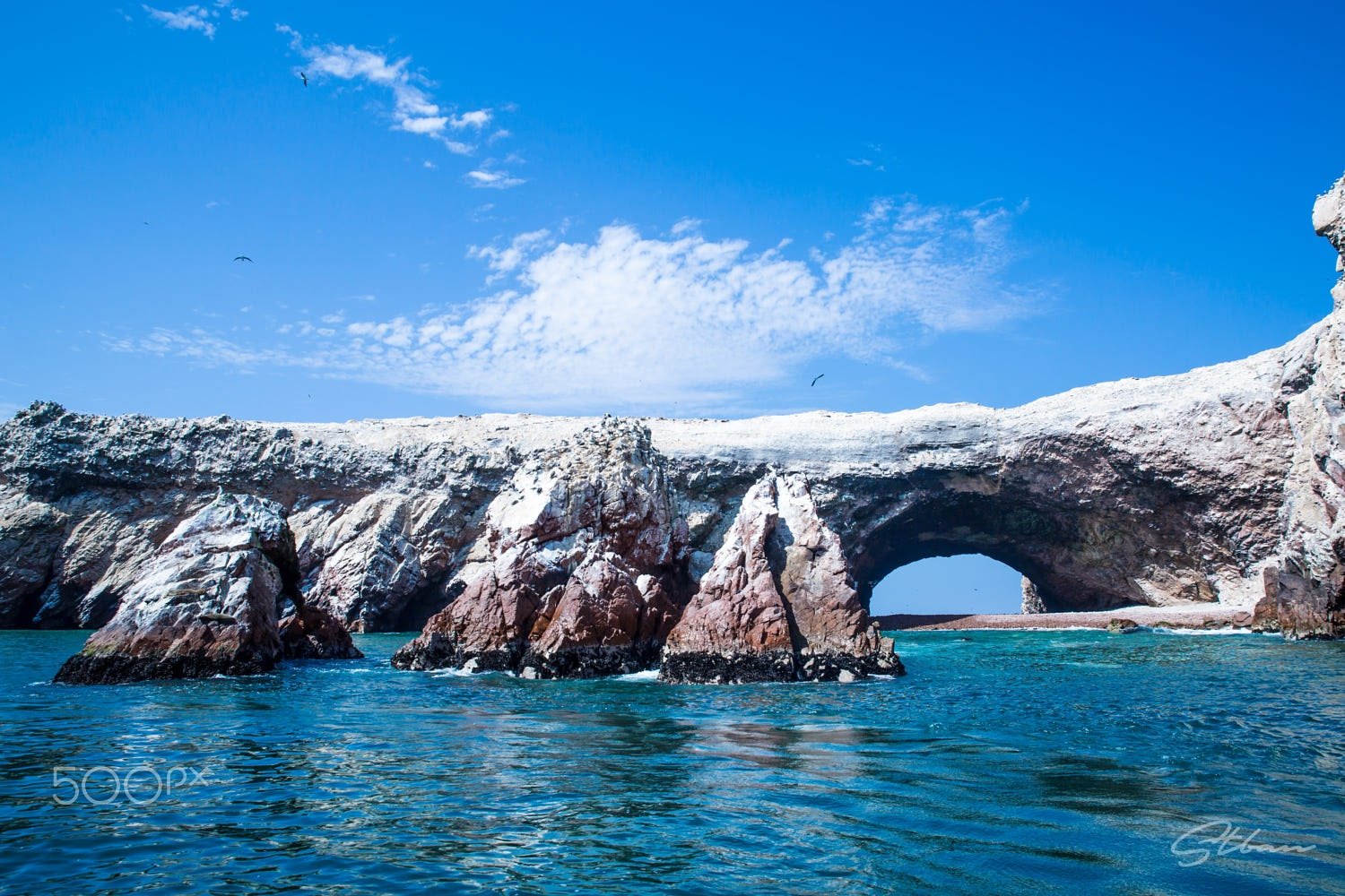 Islas Ballestas y Líneas de Nazca