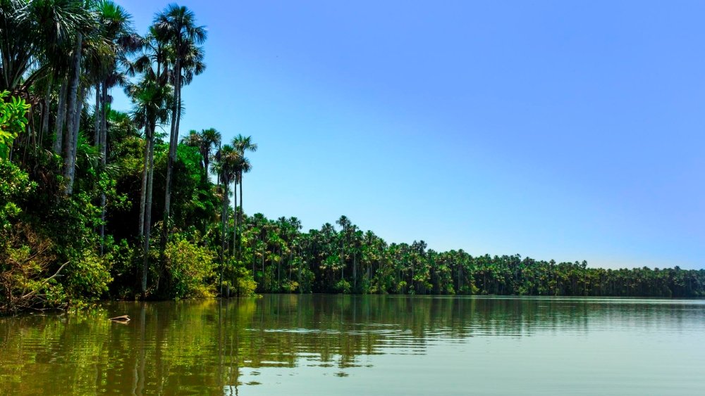 lago sandoval tambopata