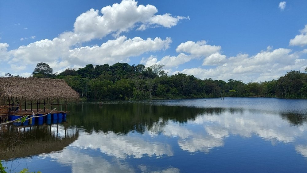 lago zungarococha