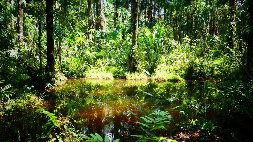 parque nacional bahuaja