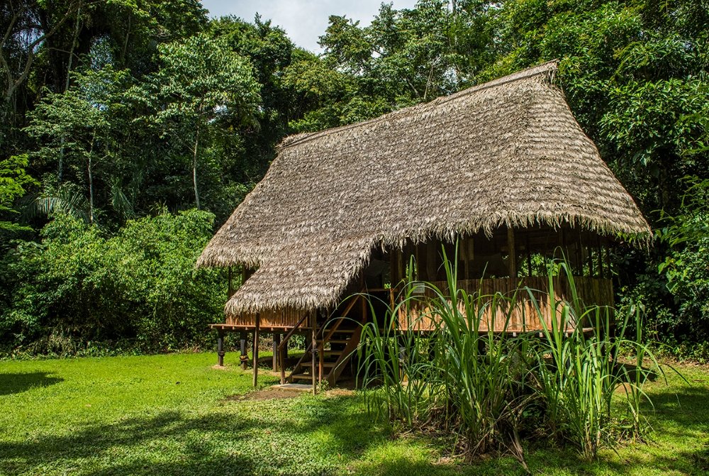 parque nacional del manu