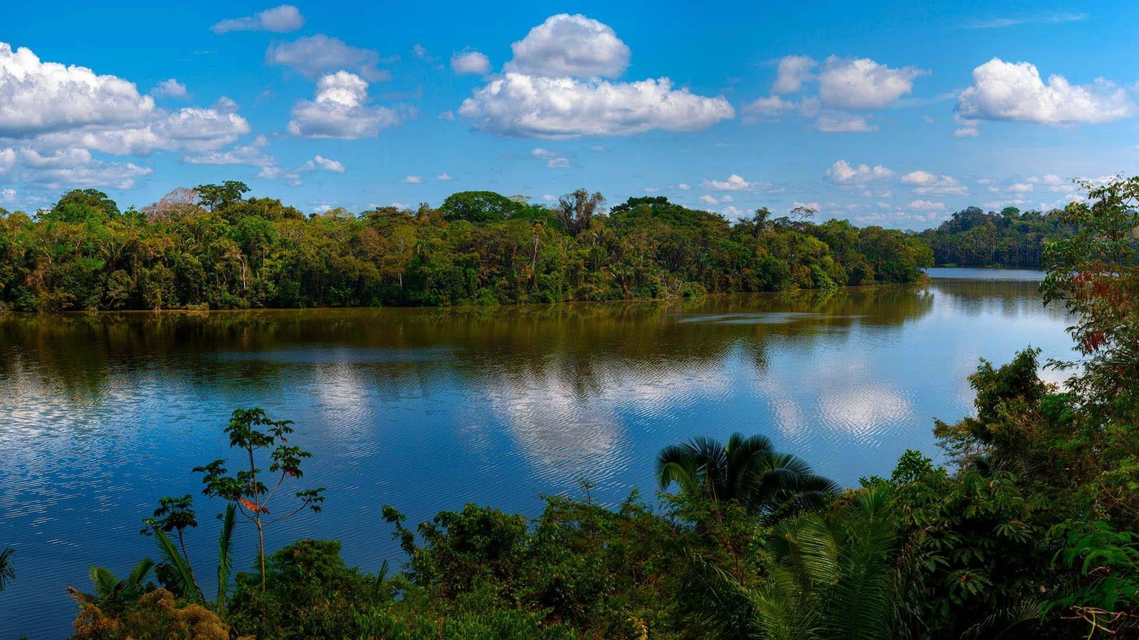 reserva nacional de tambopata