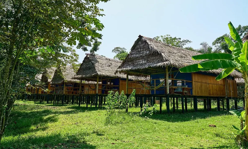 Reserva Tamshiyacu 6D/5N | Ecoturismo, Caminatas y Avistamiento de Fauna