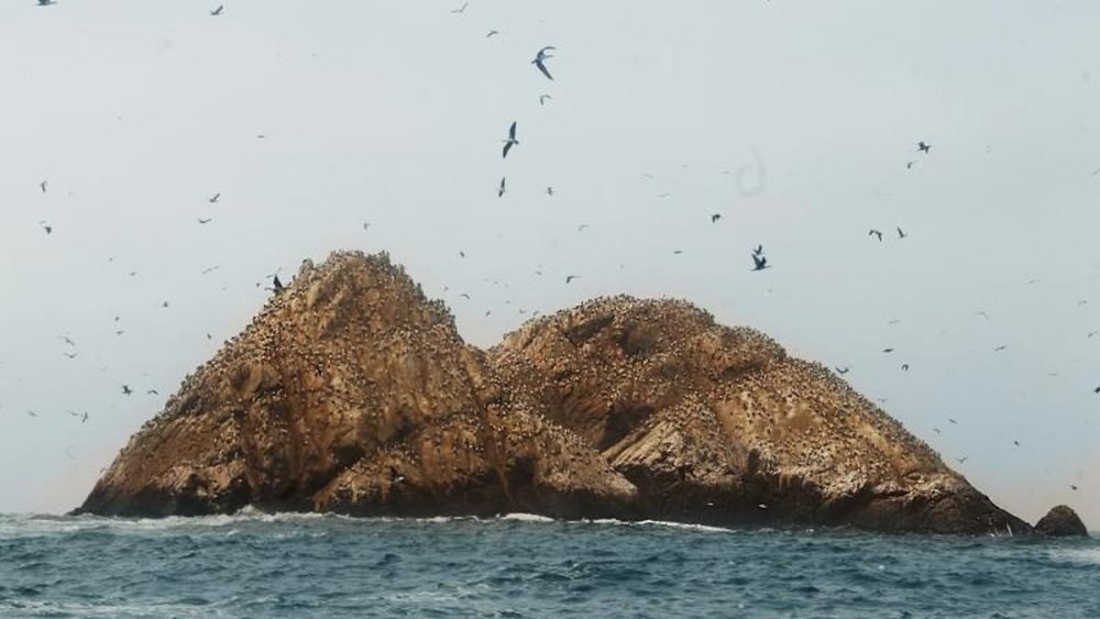 isla chao