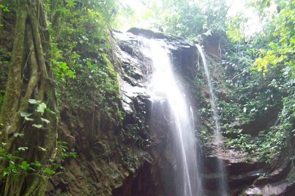 cascada de vinoyacu