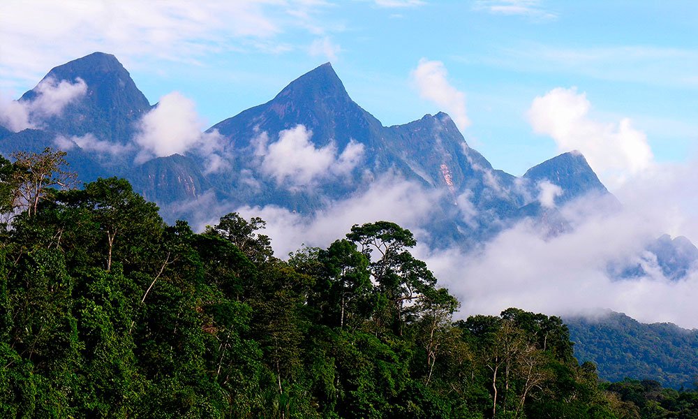 parque nacional cordillera azul