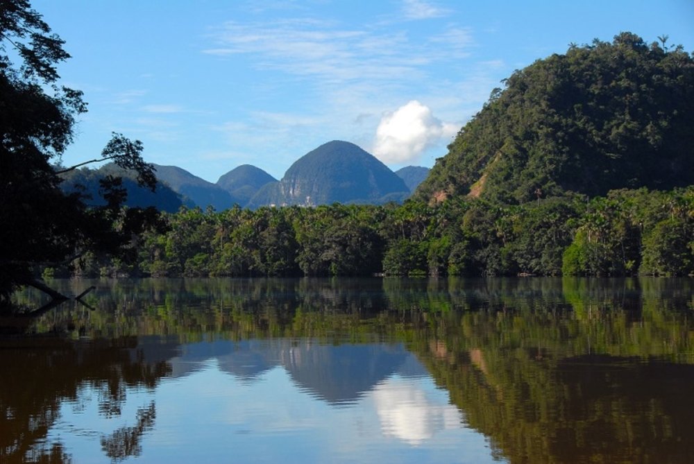 parque nacional cordillera azul