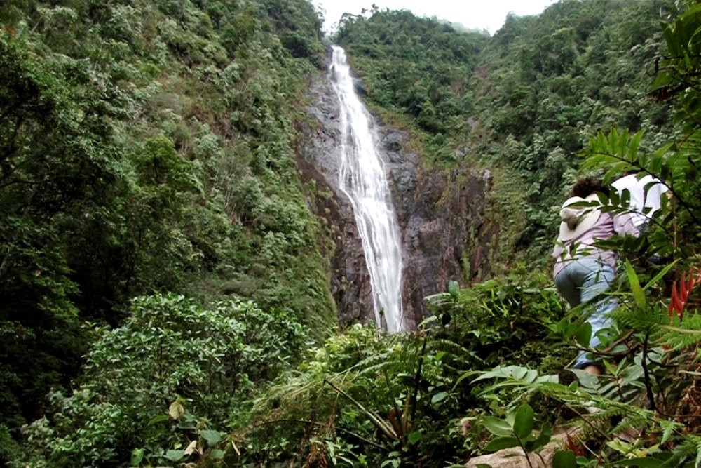 CASCADA VELO DE PLATA