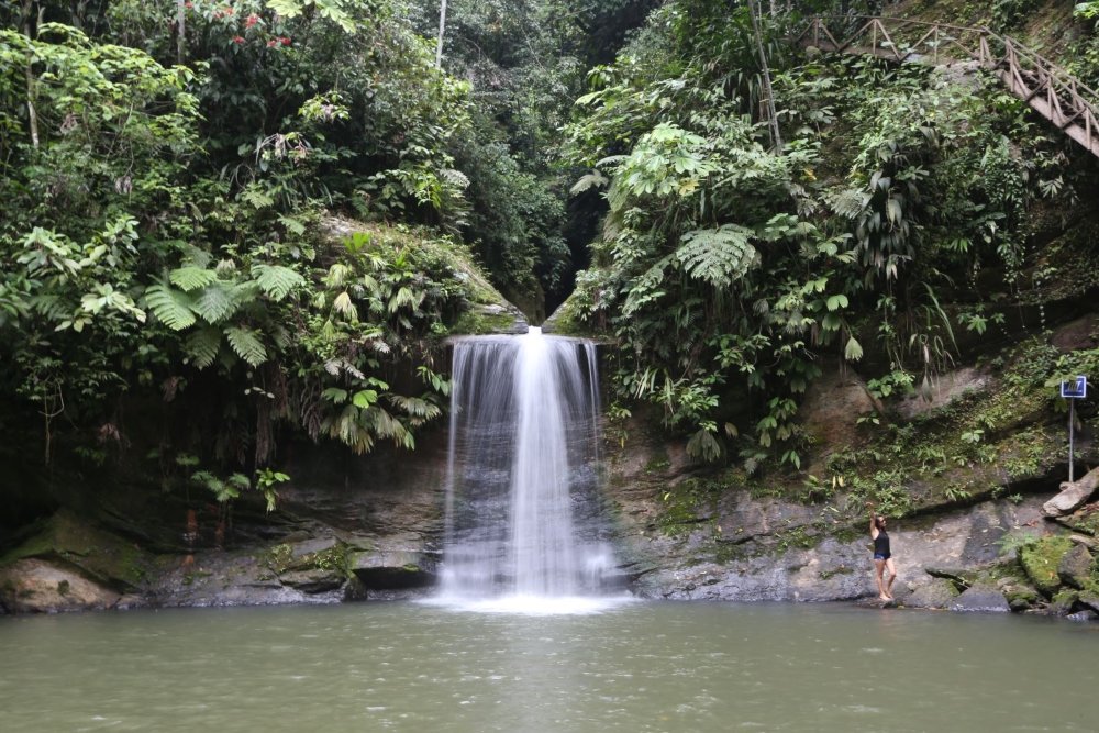 cascada del zancudo