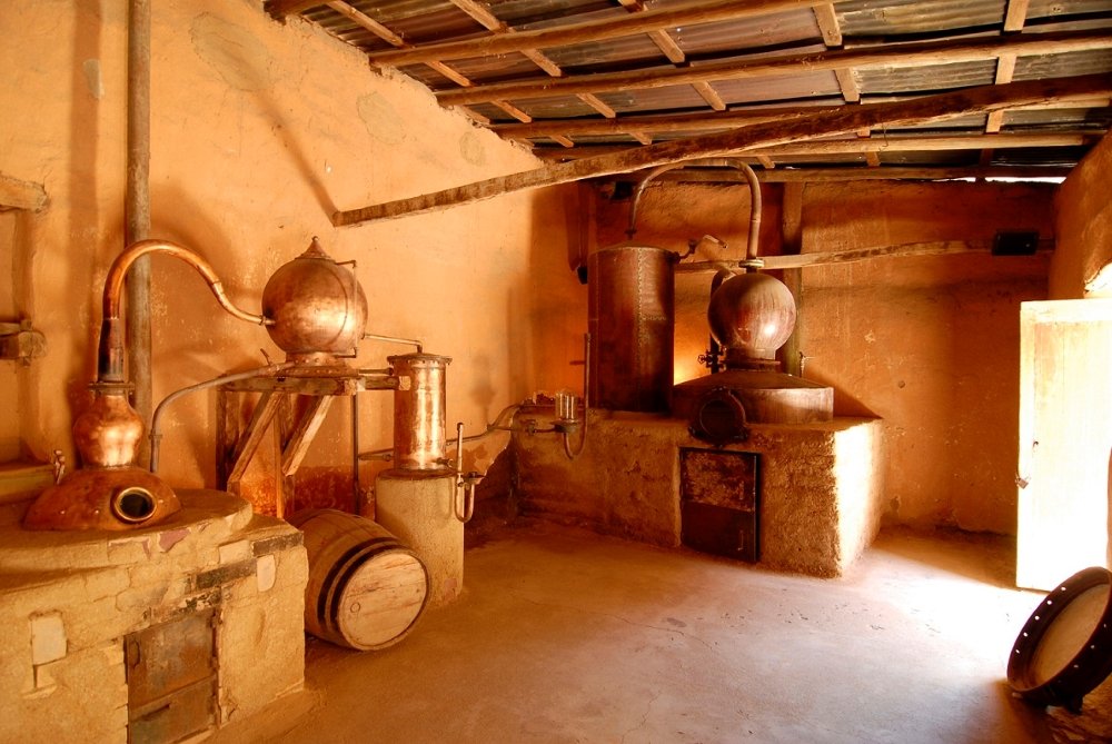 Pisco Mistral Distillery | Coquimbo