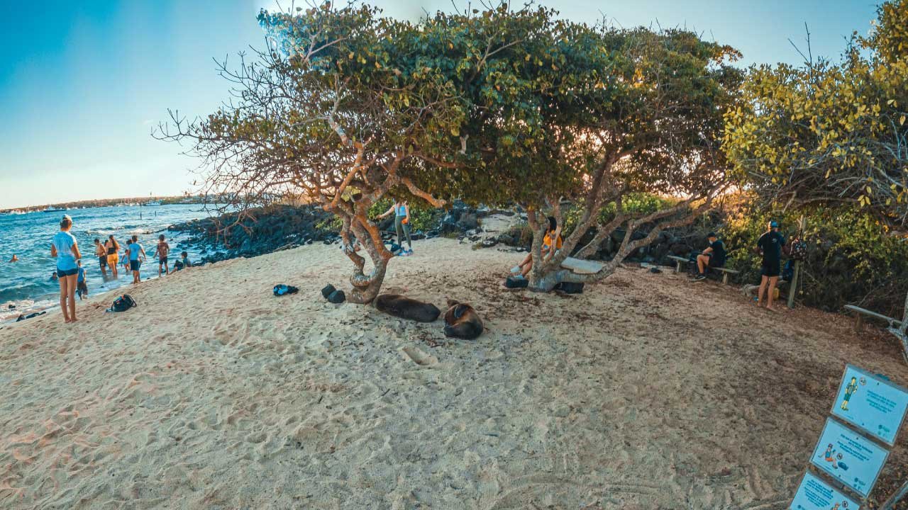 Playa de la Estación
