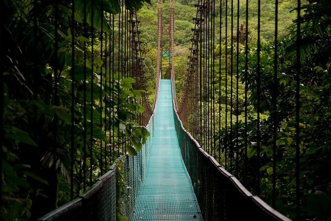 Puentes Colgantes Arenal