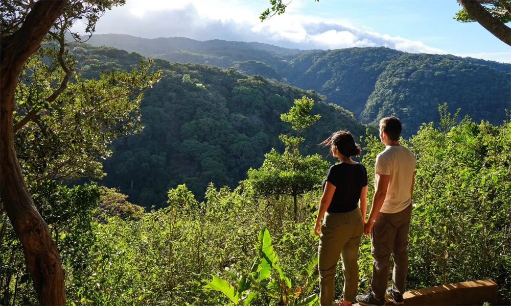 Reserva Bosque Nuboso Santa Elena