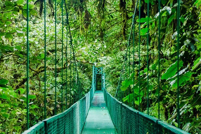 Selvatura Park Monteverde