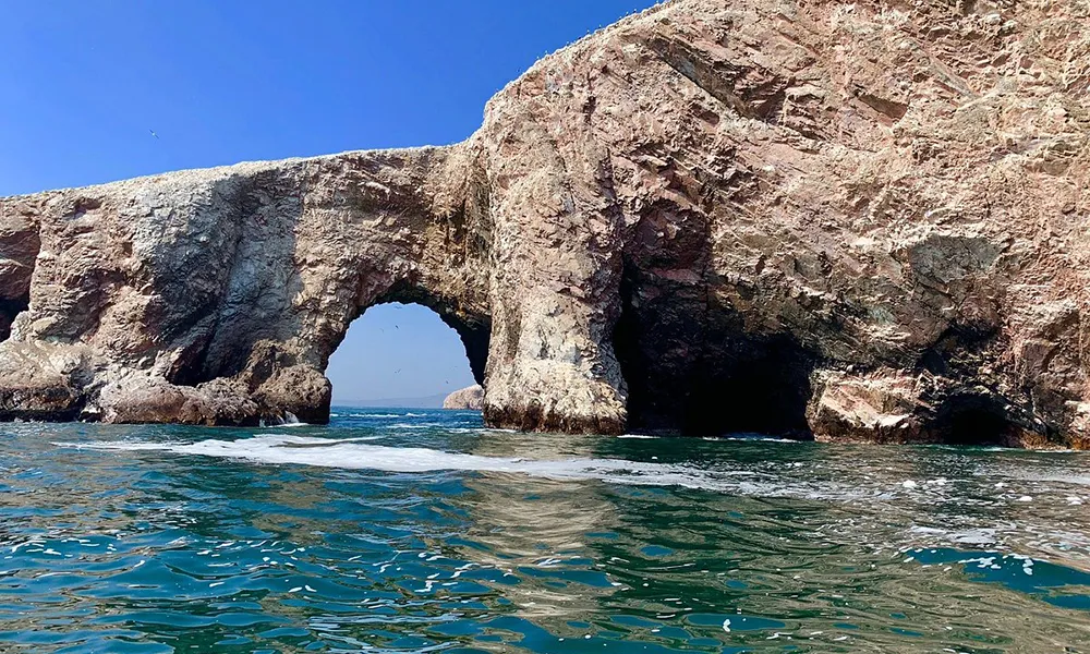 Paracas e Islas Ballestas desde Lima: tour de 1 día imperdible