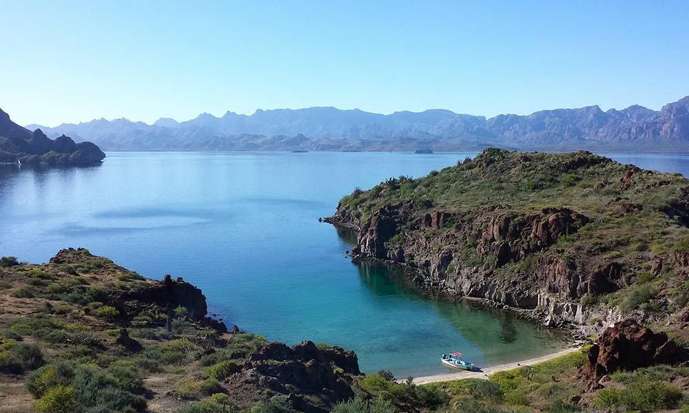 Tours Nocturnos en la Selva: Qué Esperar y Nivel de Riesgo