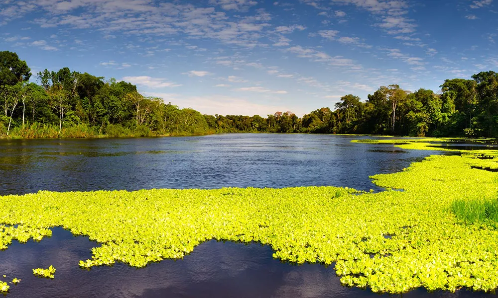 ¿Qué tan apto es Loreto para viajar con niños o adultos mayores?