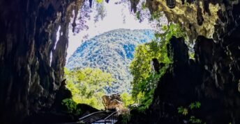 Cueva de las Lechuzas