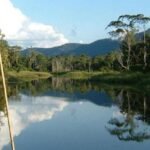 Lago Valencia Madre de Dios