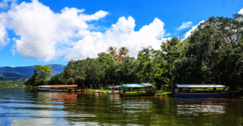 Tingo María y el Parque Nacional Tingo María