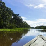 Mirador de la Confluencia de Ríos: Donde la Amazonía Une sus Aguas y su Espíritu