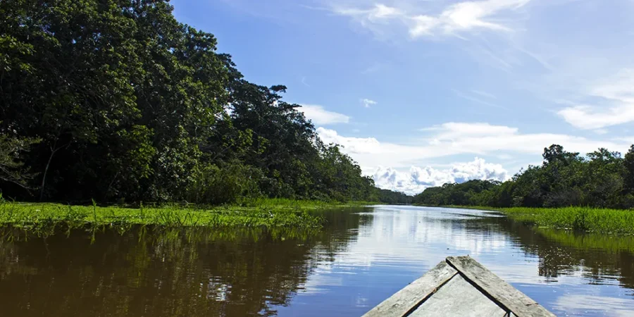 Mirador de la Confluencia de Ríos: Donde la Amazonía Une sus Aguas y su Espíritu
