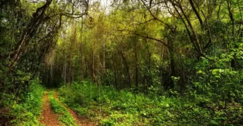 Parque Nacional Cerros de Amotape