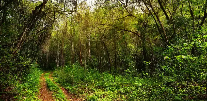 Parque Nacional Cerros de Amotape