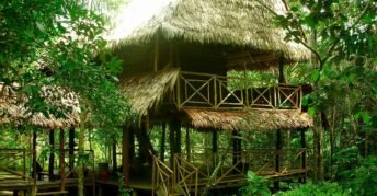 Reserva Allpahuayo Mishana Iquitos