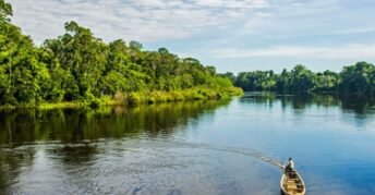 Indiana y alrededores del Amazonas