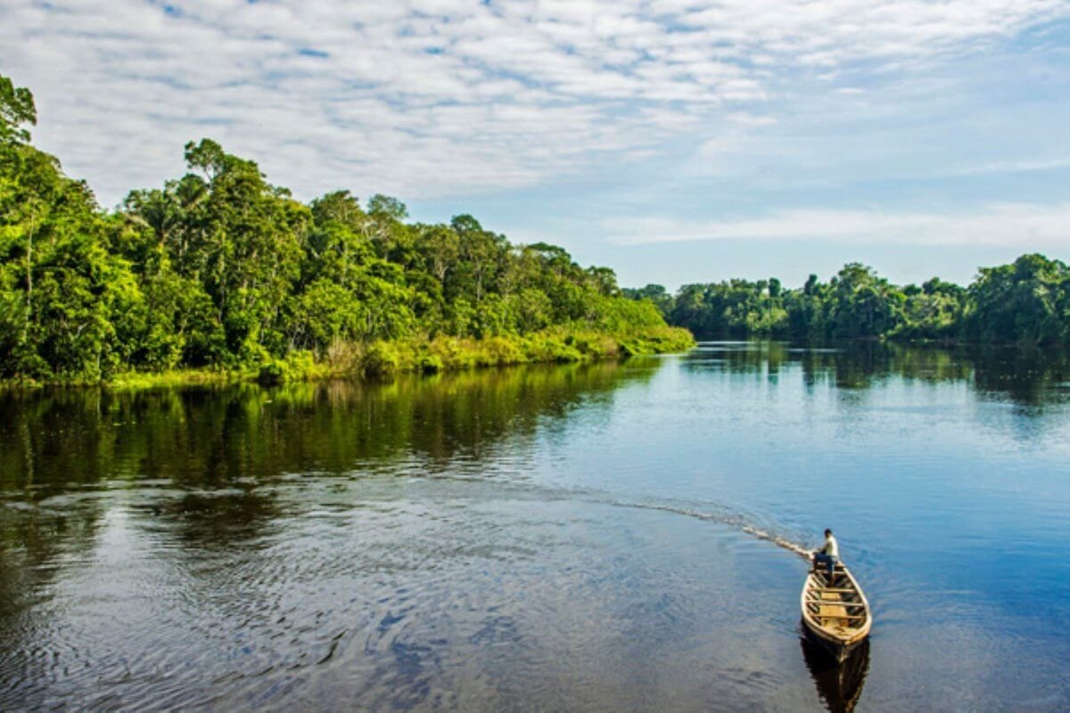 Indiana y alrededores del Amazonas