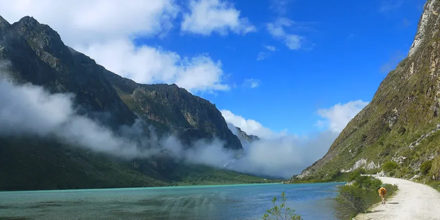 Trilha del Río Las Piedras, Madre de Dios: la joya oculta de la Amazonía peruana