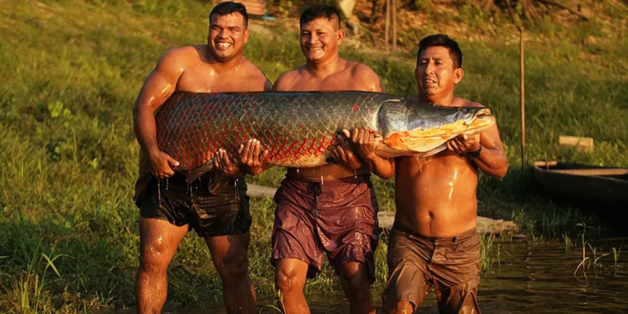 Pesca Artesanal en la Selva Amazónica del Perú: Aventura entre Ríos y Tradición