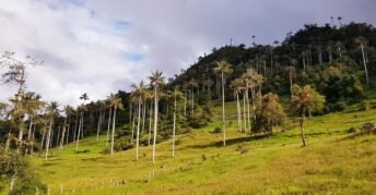 Parque Nacional de Cutervo